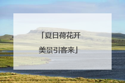 夏日荷花开 美景引客来