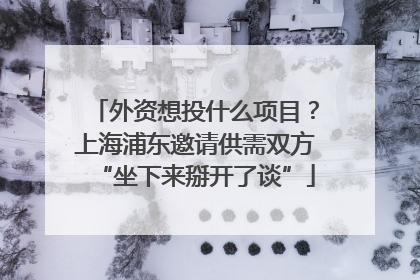 外资想投什么项目？上海浦东邀请供需双方“坐下来掰开了谈”