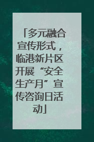 多元融合宣传形式，临港新片区开展“安全生产月”宣传咨询日活动