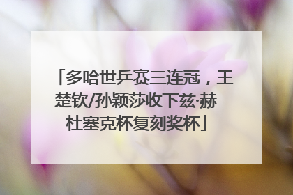 多哈世乒赛三连冠，王楚钦/孙颖莎收下兹·赫杜塞克杯复刻奖杯