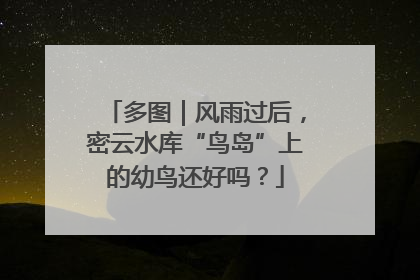 多图｜风雨过后，密云水库“鸟岛”上的幼鸟还好吗？
