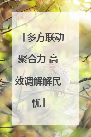 多方联动聚合力 高效调解解民忧