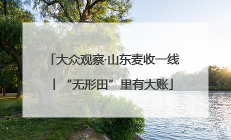 大众观察·山东麦收一线丨“无形田”里有大账