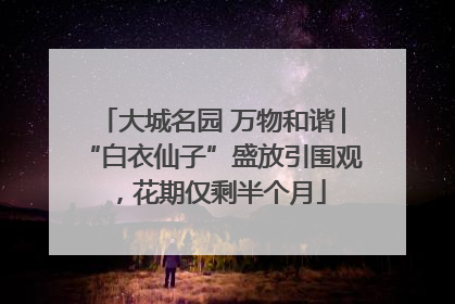 大城名园 万物和谐│“白衣仙子”盛放引围观，花期仅剩半个月