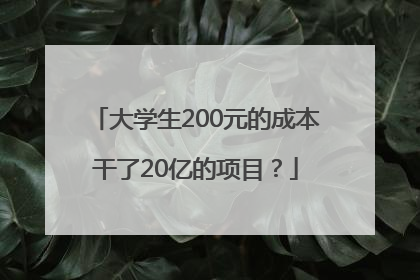 大学生200元的成本干了20亿的项目？