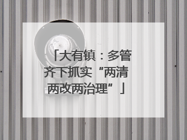 大有镇：多管齐下抓实“两清两改两治理”