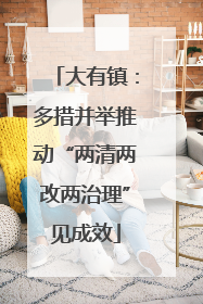 大有镇：多措并举推动“两清两改两治理”见成效