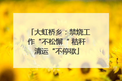 大虹桥乡：禁烧工作“不松懈“ 秸秆清运“不停歇