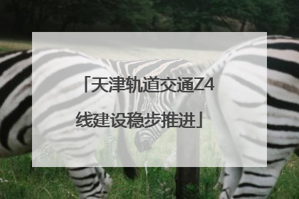 天津轨道交通Z4线建设稳步推进