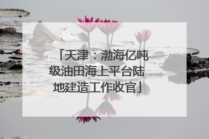 天津：渤海亿吨级油田海上平台陆地建造工作收官