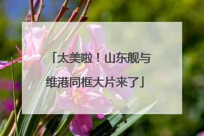 太美啦！山东舰与维港同框大片来了