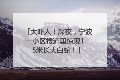 太吓人！深夜，宁波一小区楼道里惊现1.5米长大白蛇！