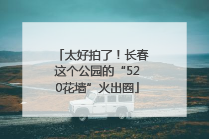 太好拍了！长春这个公园的“520花墙”火出圈