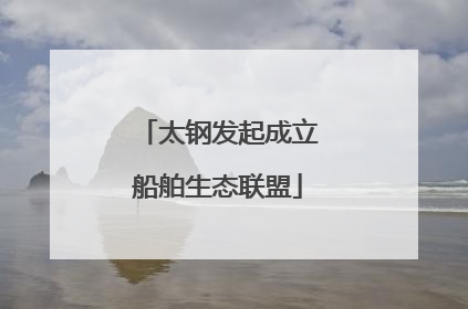 太钢发起成立船舶生态联盟
