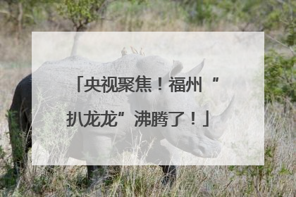 央视聚焦！福州“扒龙龙”沸腾了！