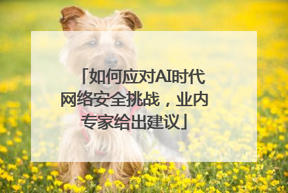 如何应对AI时代网络安全挑战，业内专家给出建议