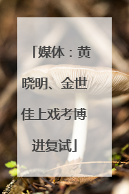媒体：黄晓明、金世佳上戏考博进复试