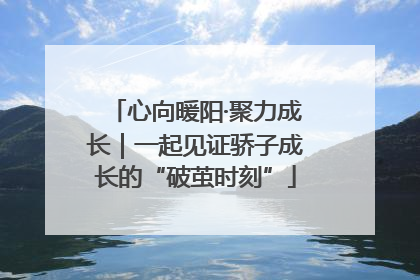 心向暖阳·聚力成长｜一起见证骄子成长的“破茧时刻”