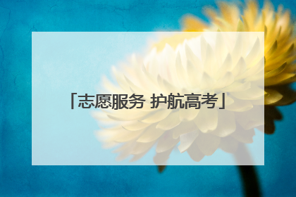 志愿服务 护航高考