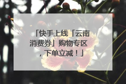 快手上线「云南消费券」购物专区，下单立减！