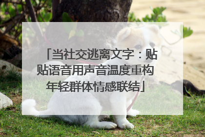 当社交逃离文字：贴贴语音用声音温度重构年轻群体情感联结