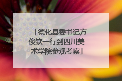 德化县委书记方俊钦一行到四川美术学院参观考察
