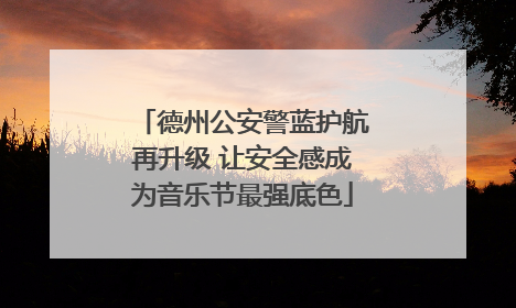 德州公安警蓝护航再升级 让安全感成为音乐节最强底色