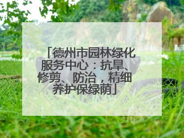 德州市园林绿化服务中心：抗旱、修剪、防治，精细养护保绿荫