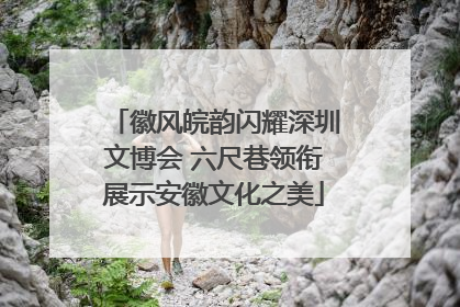 徽风皖韵闪耀深圳文博会 六尺巷领衔展示安徽文化之美
