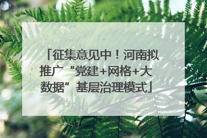 征集意见中！河南拟推广“党建+网格+大数据”基层治理模式
