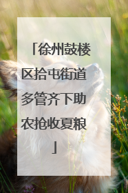 徐州鼓楼区拾屯街道多管齐下助农抢收夏粮