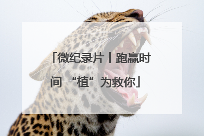 微纪录片丨跑赢时间 “植”为救你