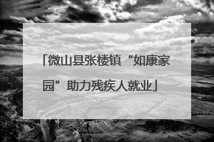微山县张楼镇“如康家园”助力残疾人就业