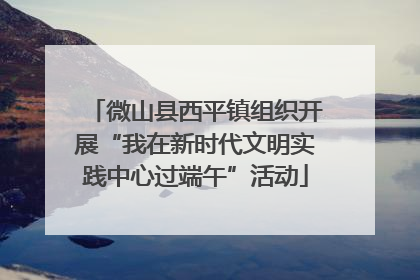 微山县西平镇组织开展“我在新时代文明实践中心过端午”活动