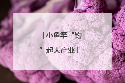 小鱼竿“钓”起大产业