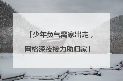 少年负气离家出走，网格深夜接力助归家
