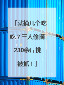 就摘几个吃吃？三人偷摘230余斤桃被抓！
