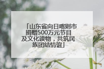 山东省向日喀则市捐赠500万元节目及文化读物，共筑民族团结情谊