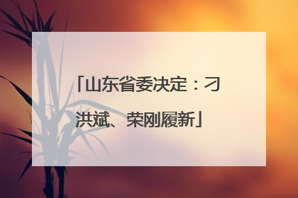 山东省委决定：刁洪斌、荣刚履新