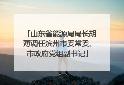 山东省能源局局长胡薄调任滨州市委常委、市政府党组副书记