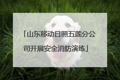 山东移动日照五莲分公司开展安全消防演练