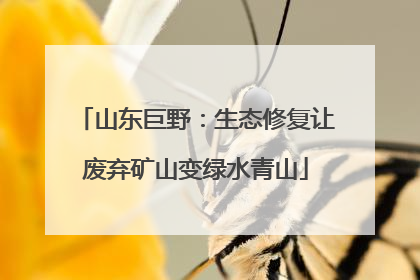 山东巨野：生态修复让废弃矿山变绿水青山