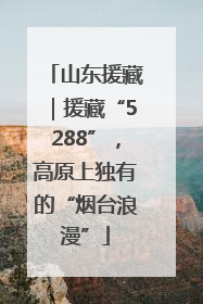 山东援藏｜援藏“5288”，高原上独有的“烟台浪漫”