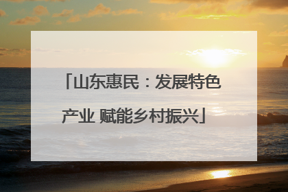 山东惠民：发展特色产业 赋能乡村振兴