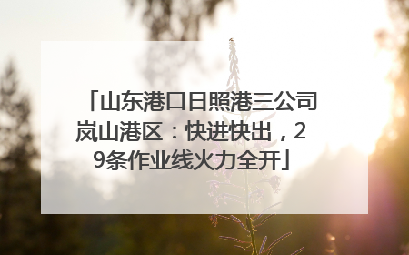 山东港口日照港三公司岚山港区：快进快出，29条作业线火力全开