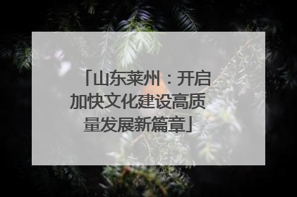 山东莱州：开启加快文化建设高质量发展新篇章