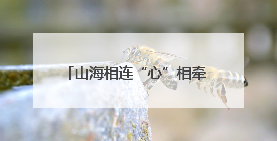 山海相连“心”相牵 “常爱童心”再次起航