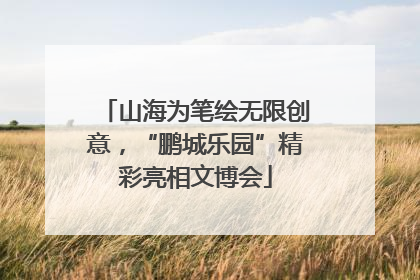 山海为笔绘无限创意，“鹏城乐园”精彩亮相文博会