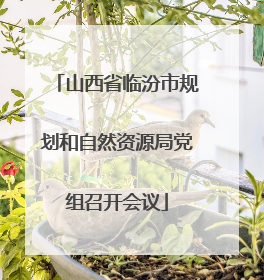 山西省临汾市规划和自然资源局党组召开会议