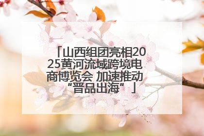 山西组团亮相2025黄河流域跨境电商博览会 加速推动“晋品出海”